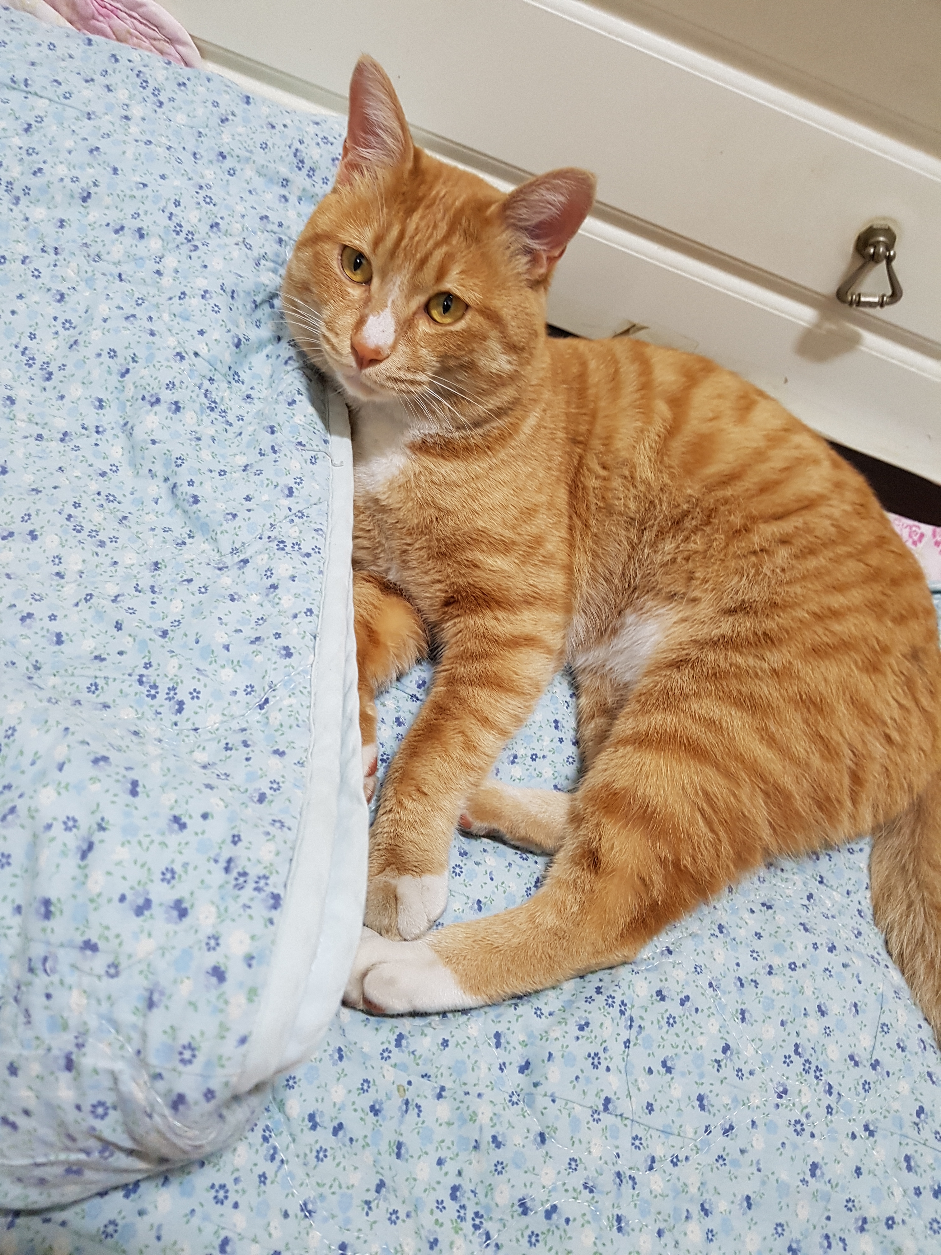 작성자 프로필 이미지