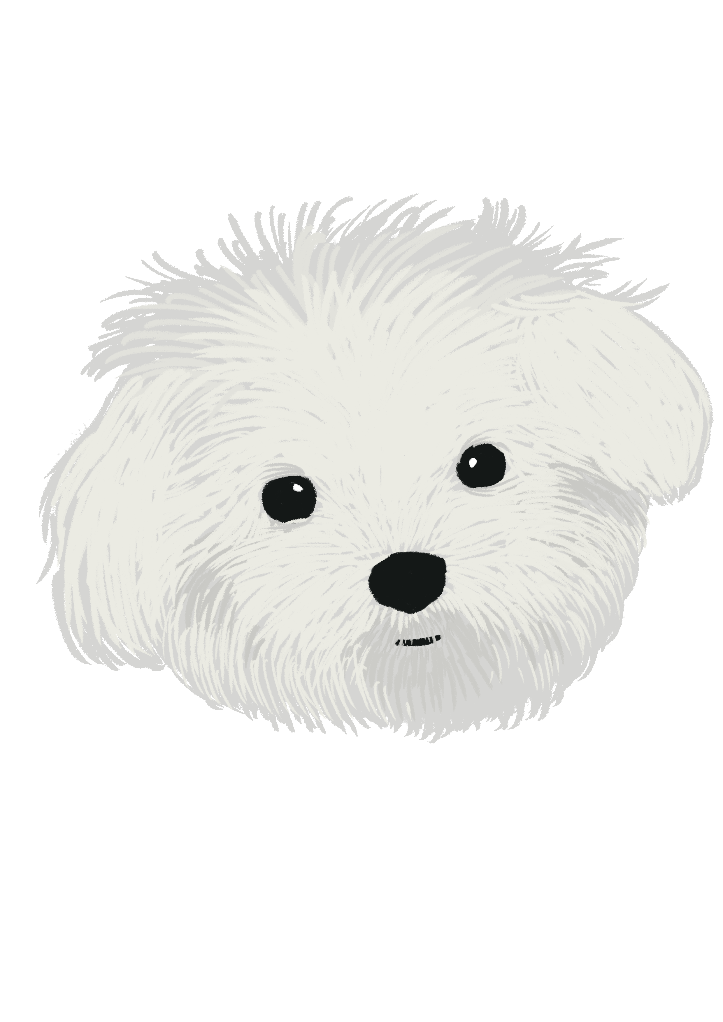 헤븐코기 프로필 이미지