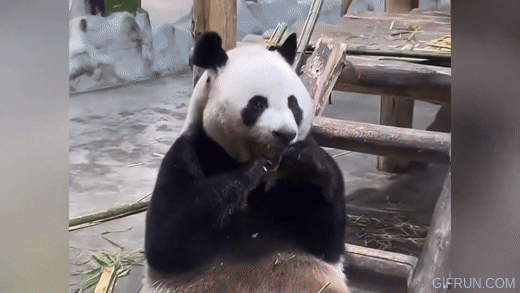 작성자 프로필 이미지