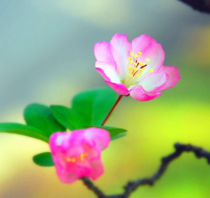 작성자 프로필 이미지