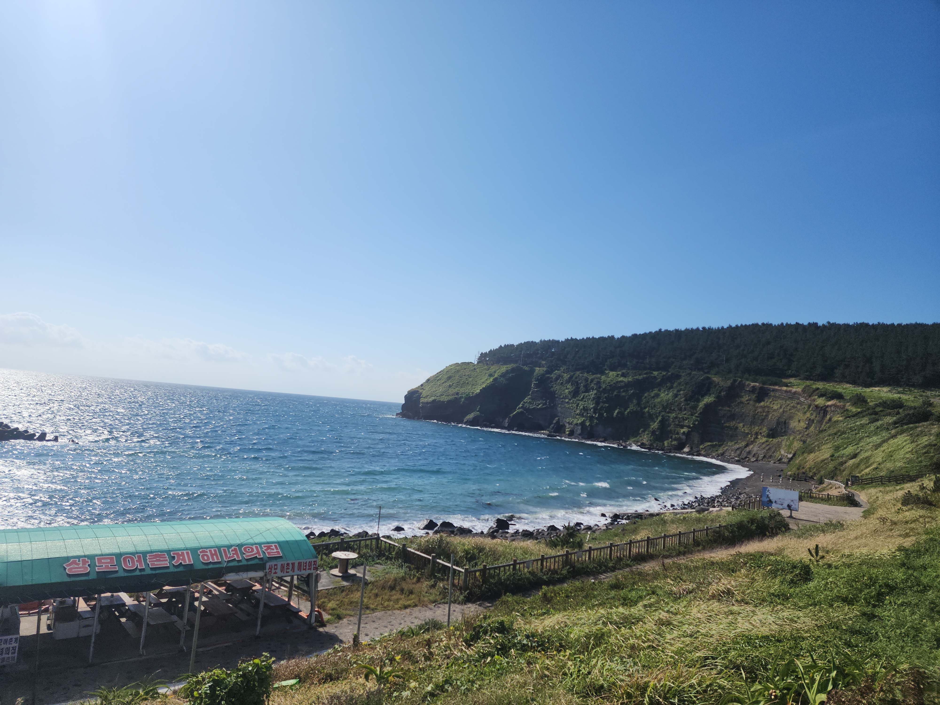 작성자 프로필 이미지