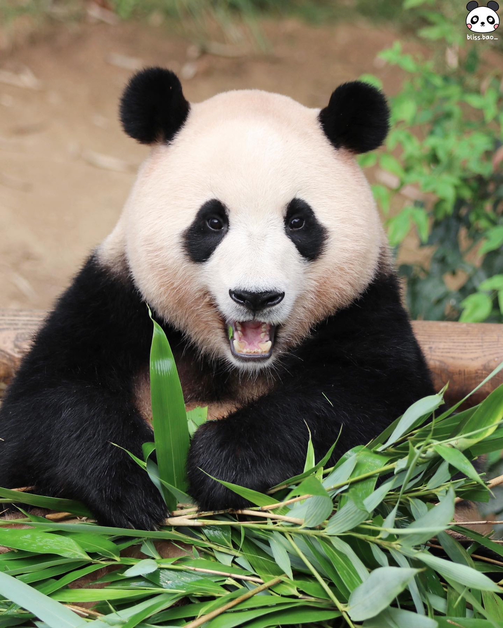 작성자 프로필 이미지