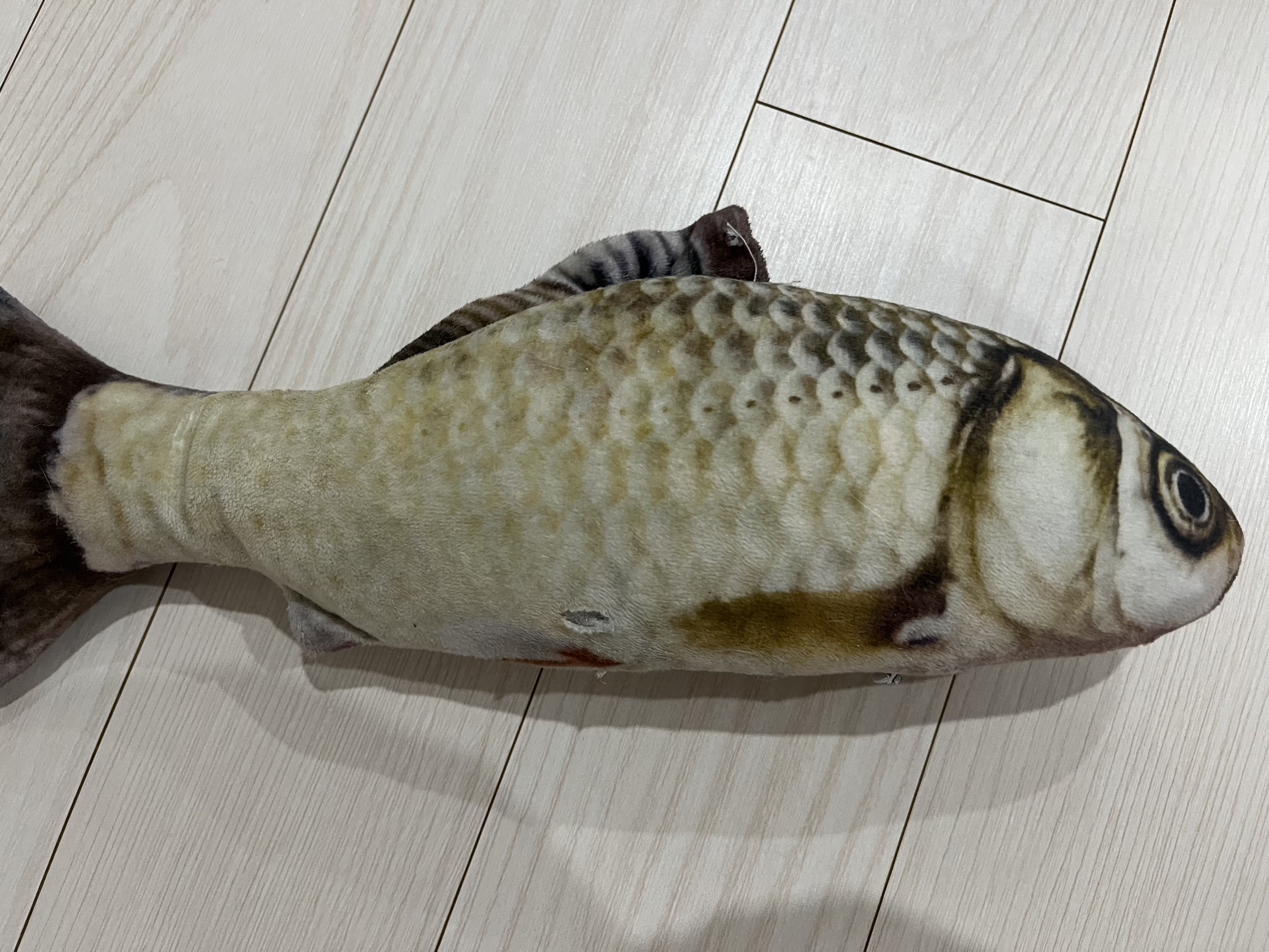 작성자 프로필 이미지