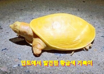 작성자 프로필 이미지