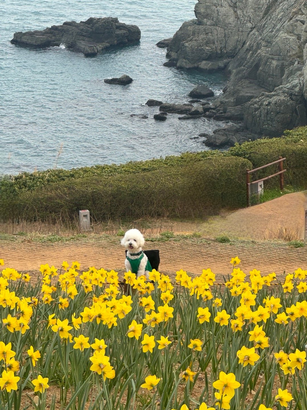 작성자 프로필 이미지