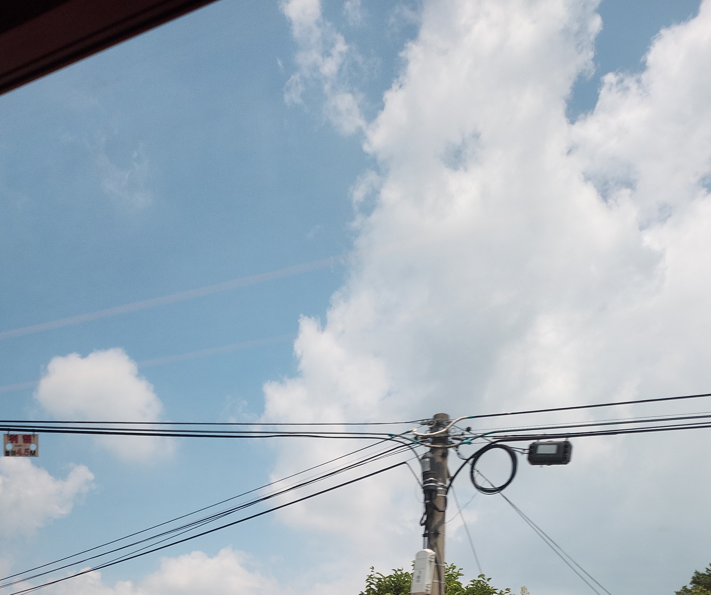 작성자 프로필 이미지