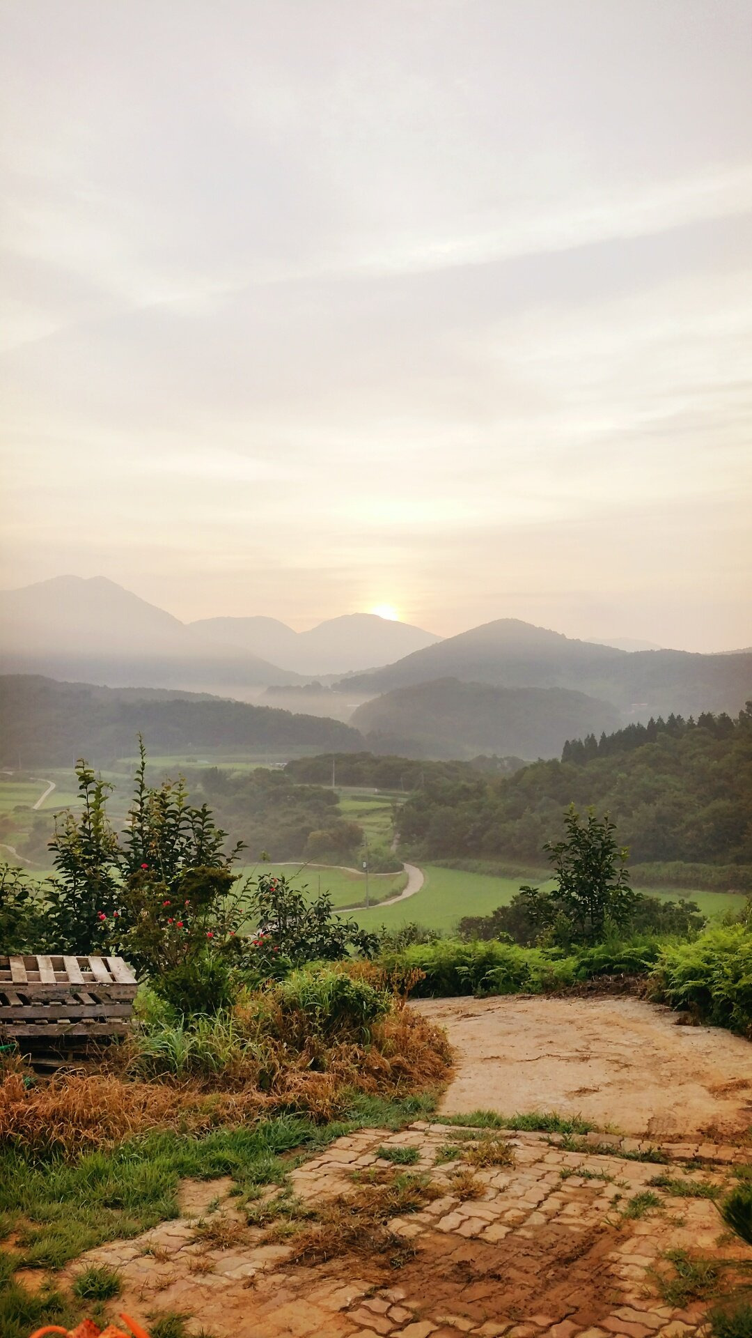 작성자 프로필 이미지