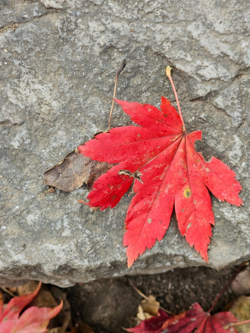 작성자 프로필 이미지