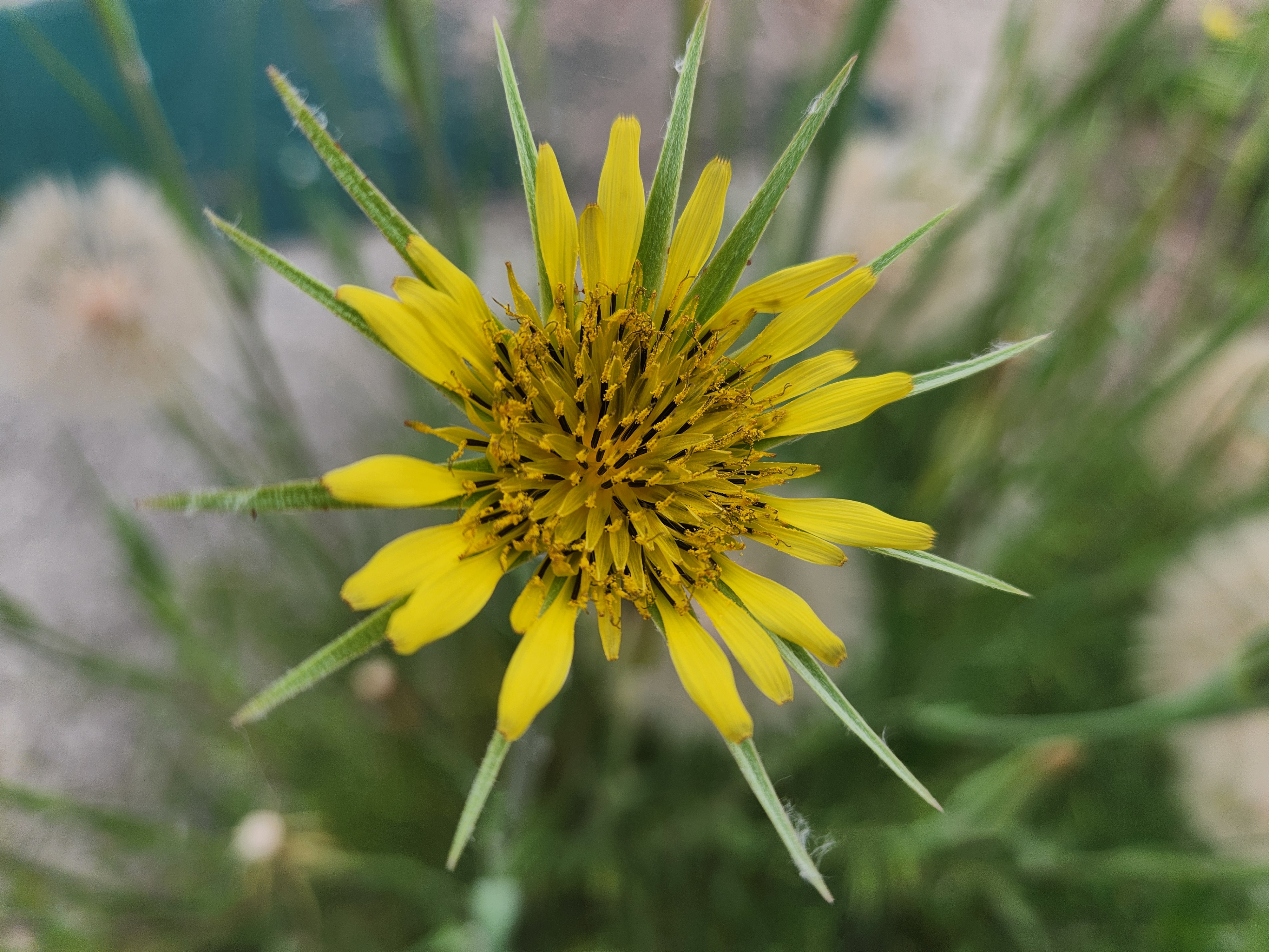 작성자 프로필 이미지