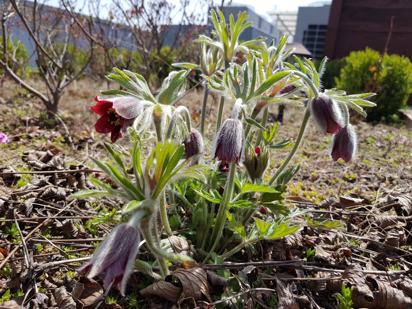 작성자 프로필 이미지