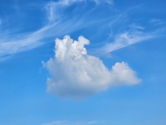 작성자 프로필 이미지