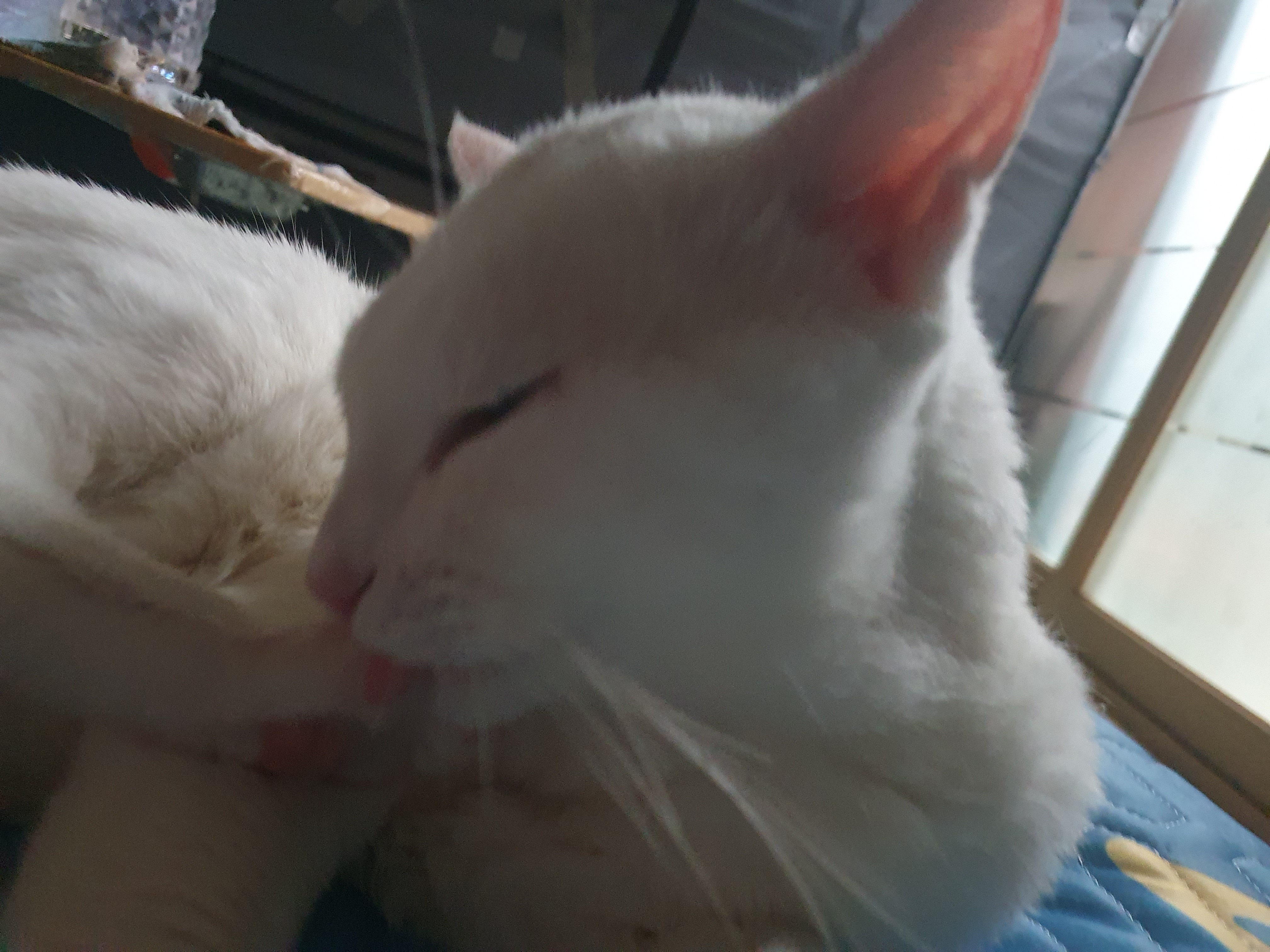 작성자 프로필 이미지