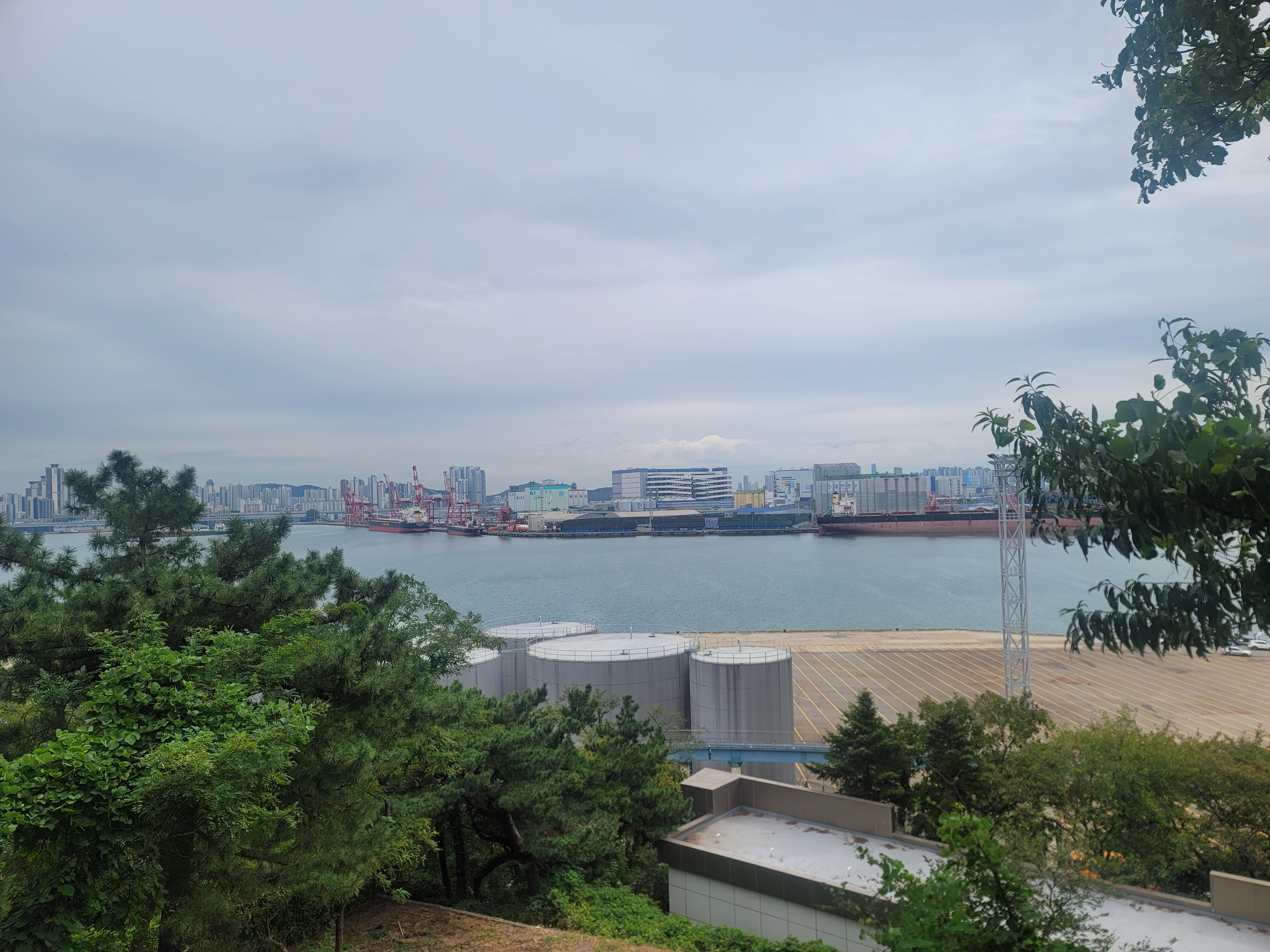 작성자 프로필 이미지