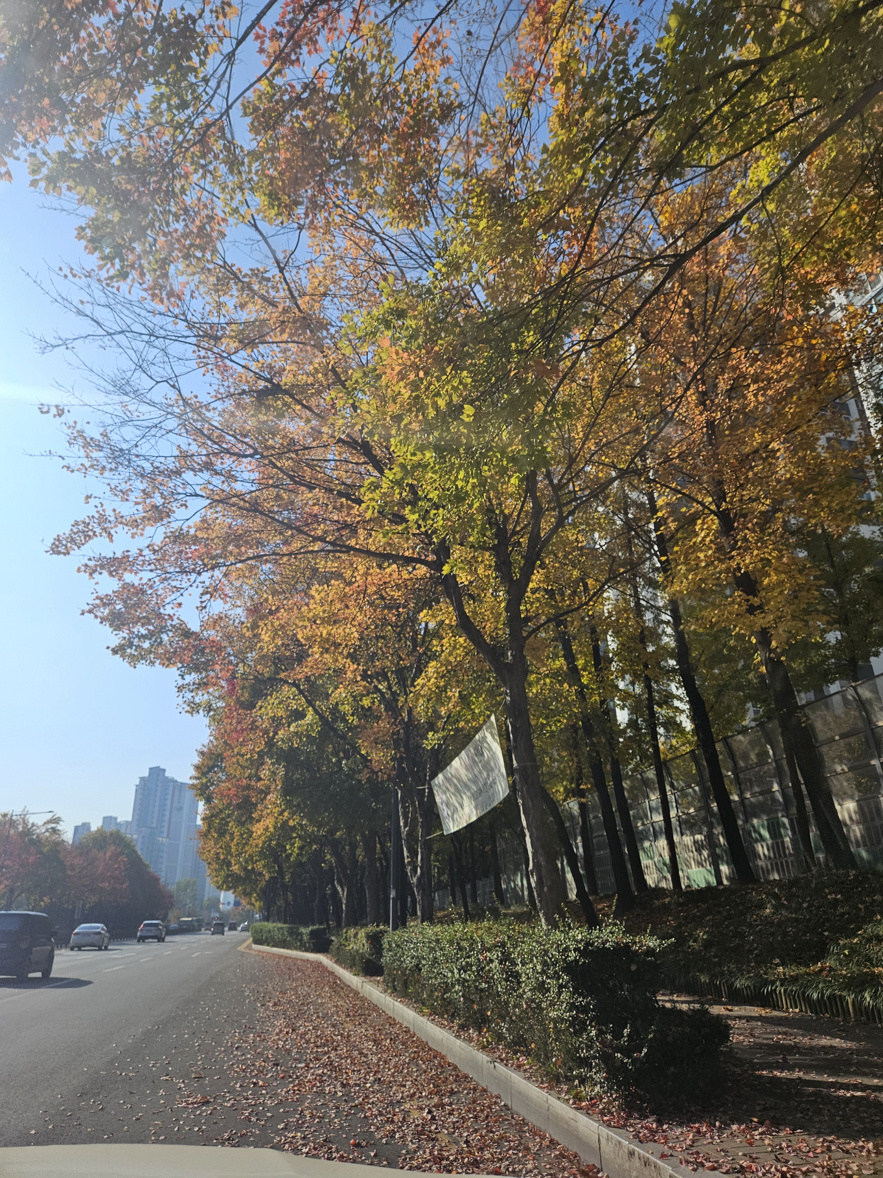 작성자 프로필 이미지