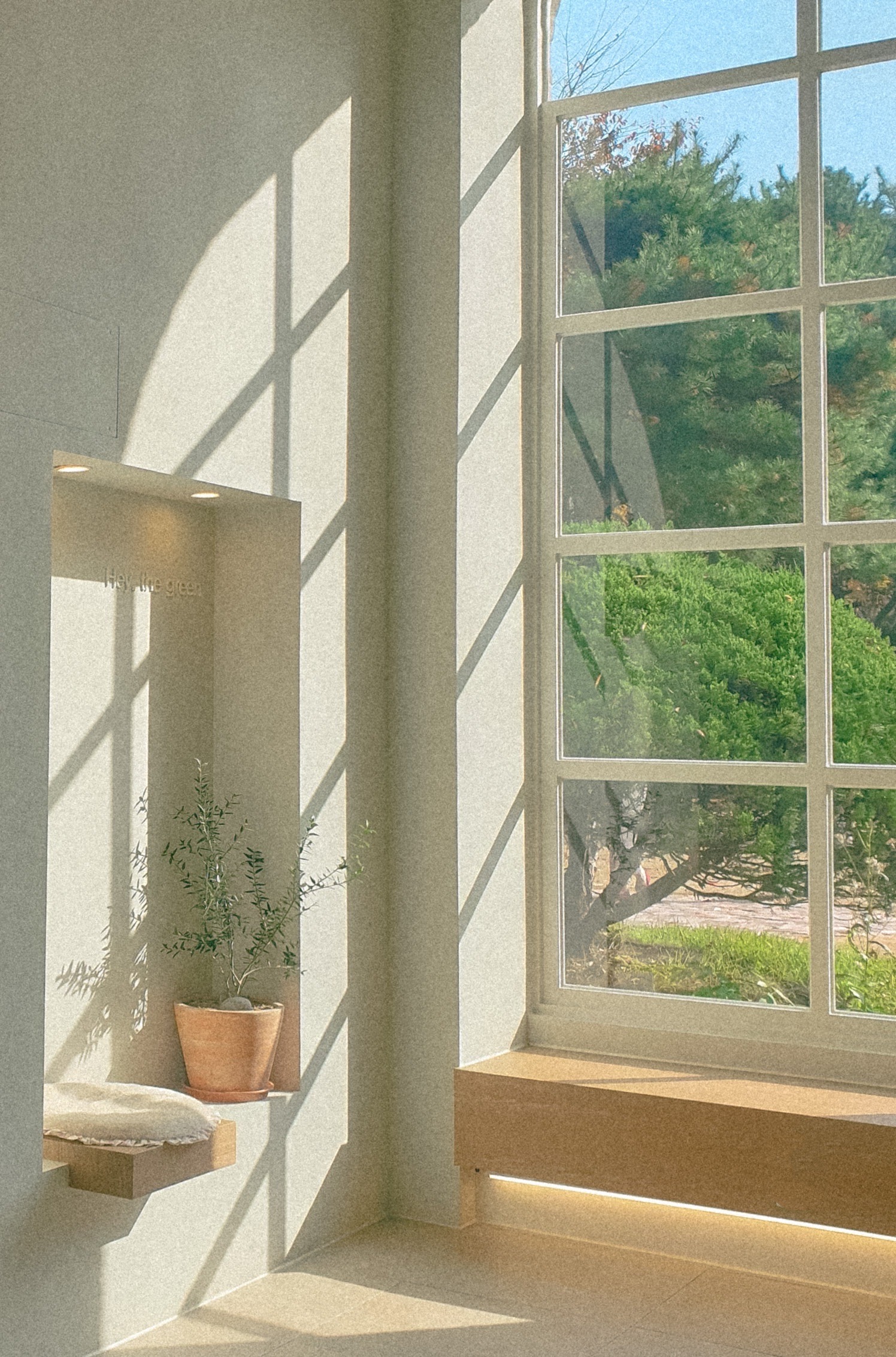 작성자 프로필 이미지