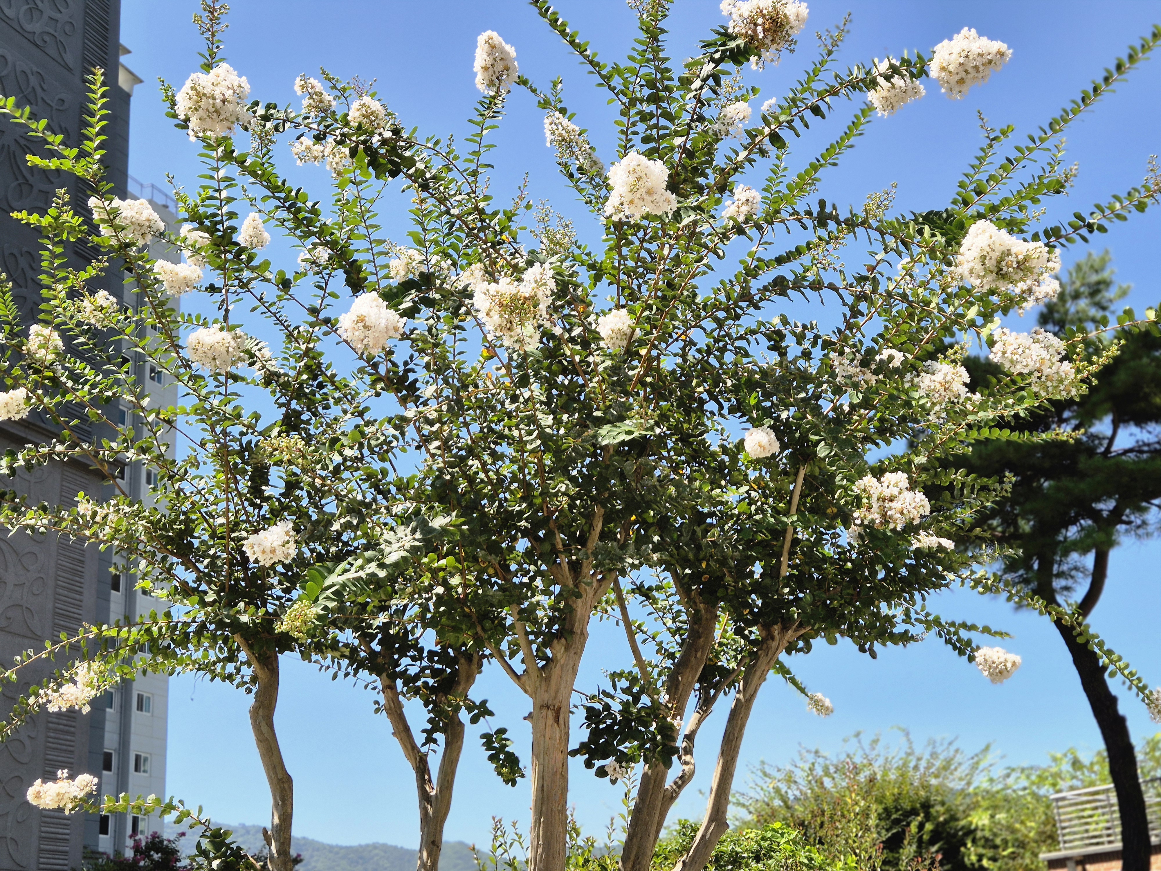 작성자 프로필 이미지