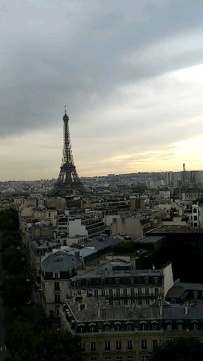 작성자 프로필 이미지