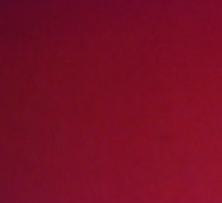 작성자 프로필 이미지