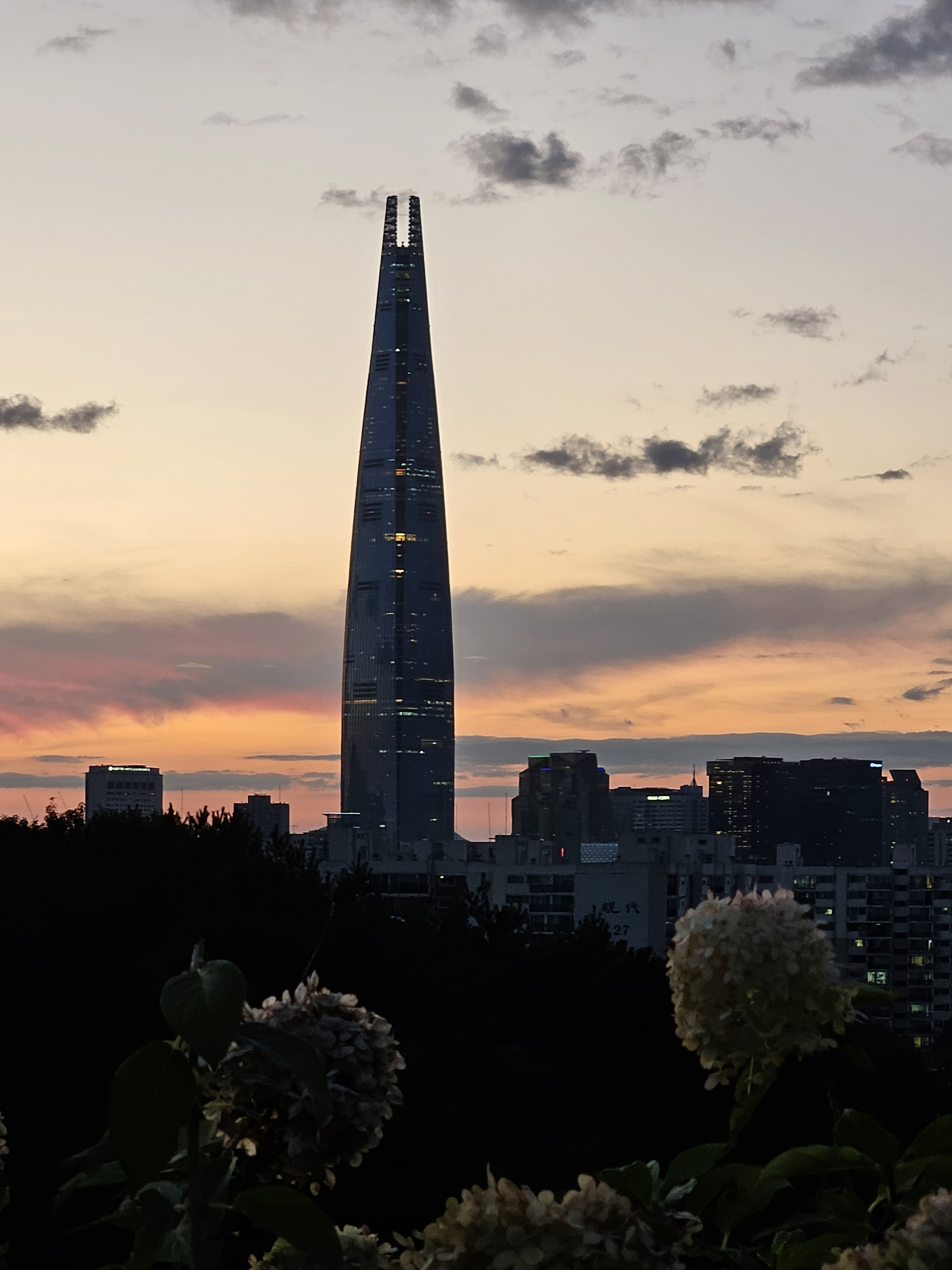 작성자 프로필 이미지