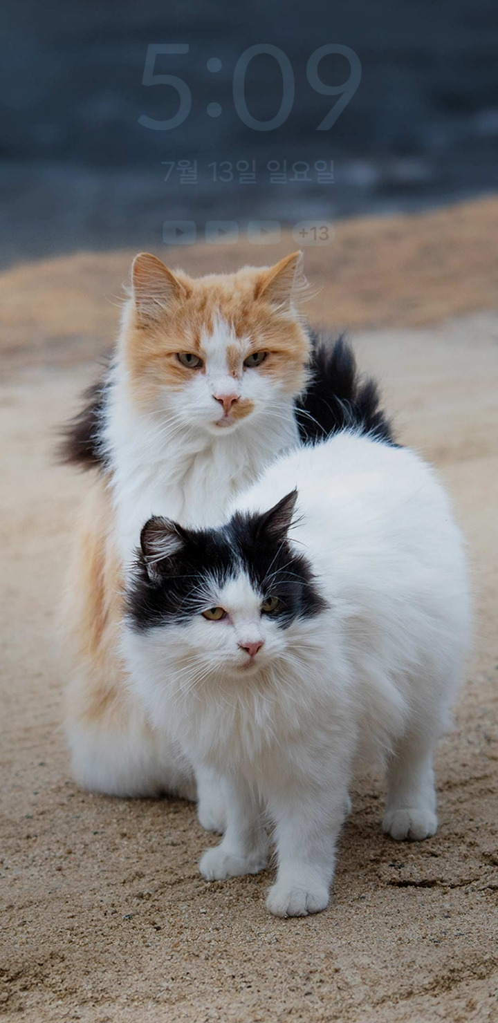 작성자 프로필 이미지