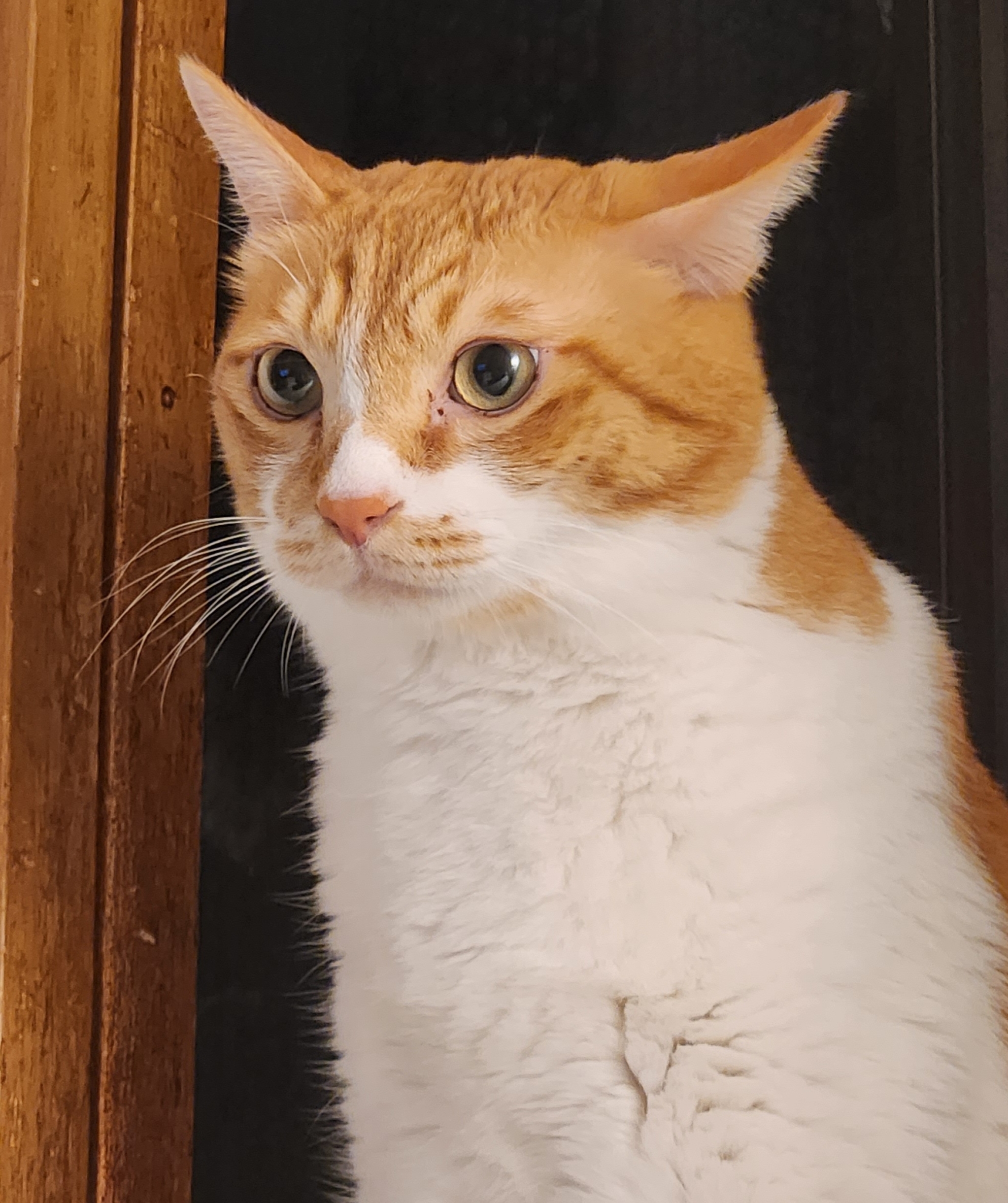 작성자 프로필 이미지