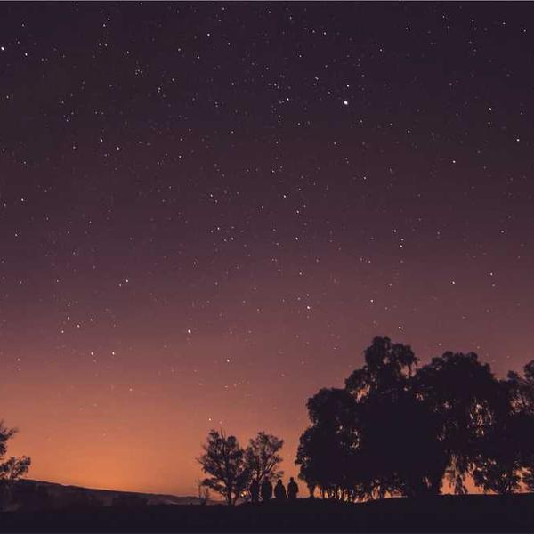 작성자 프로필 이미지