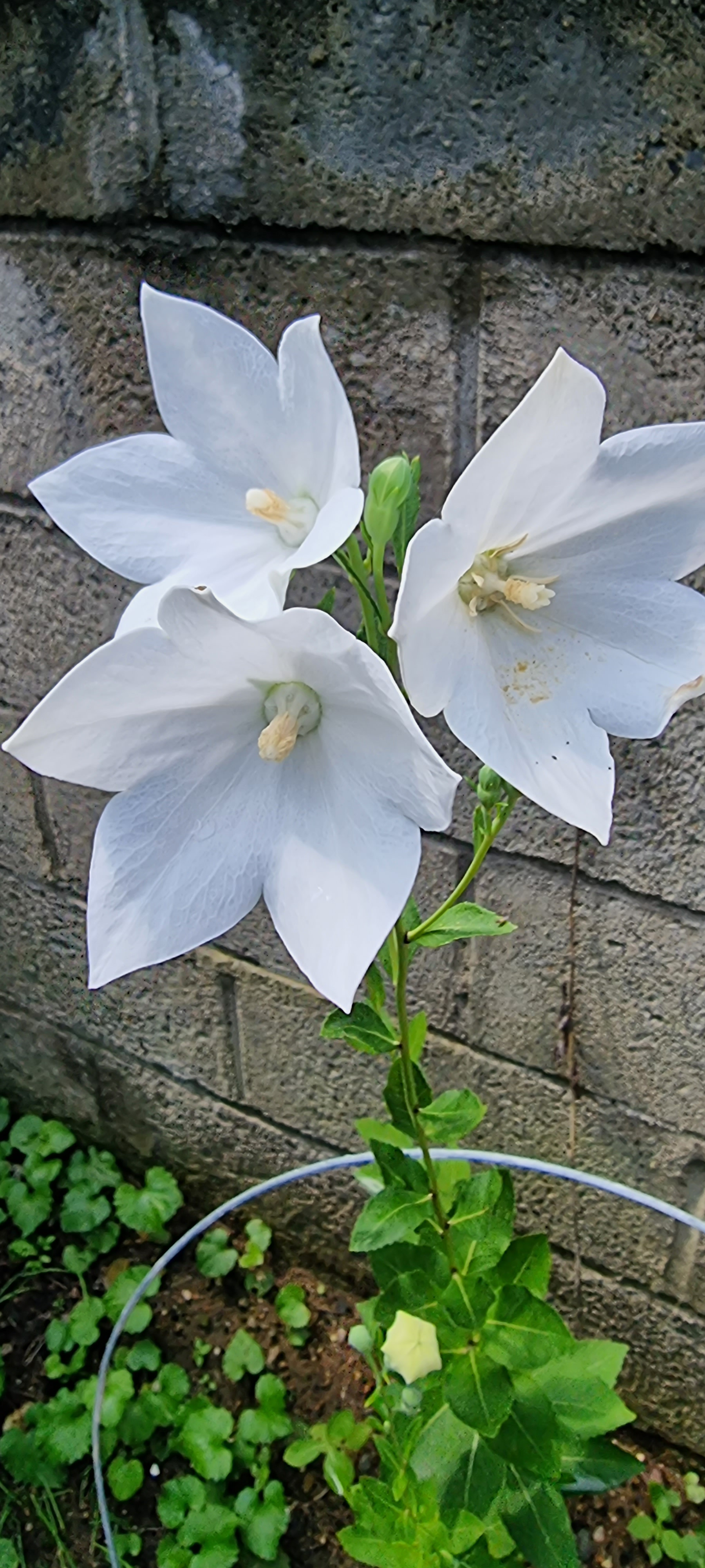 작성자 프로필 이미지