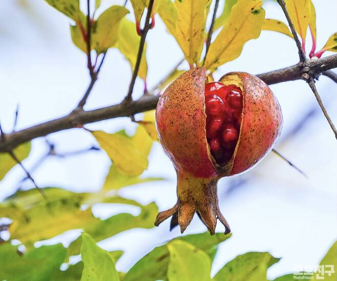 작성자 프로필 이미지