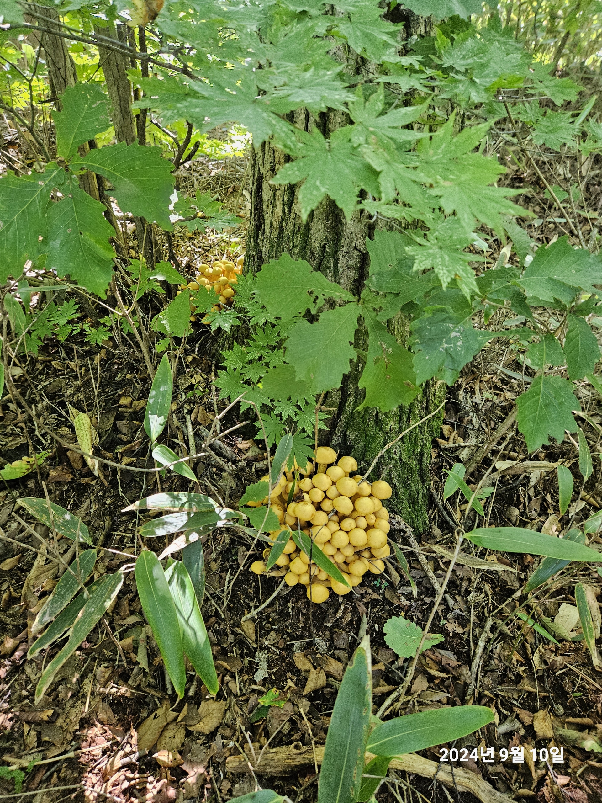 작성자 프로필 이미지