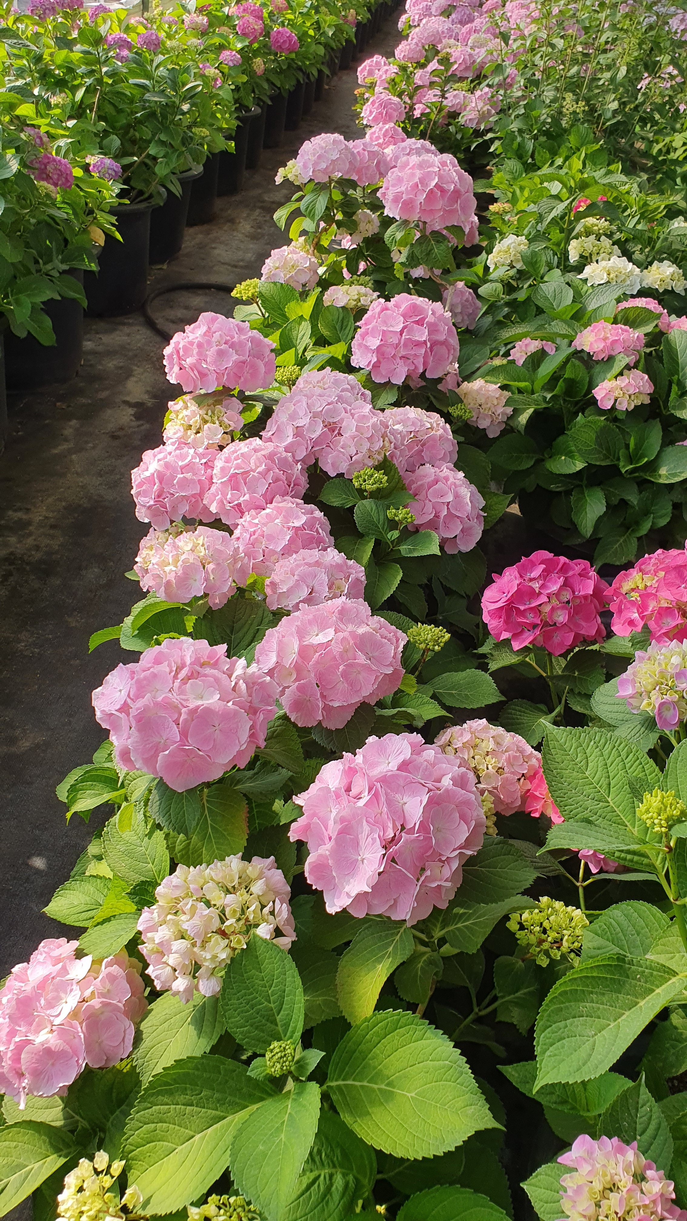 작성자 프로필 이미지