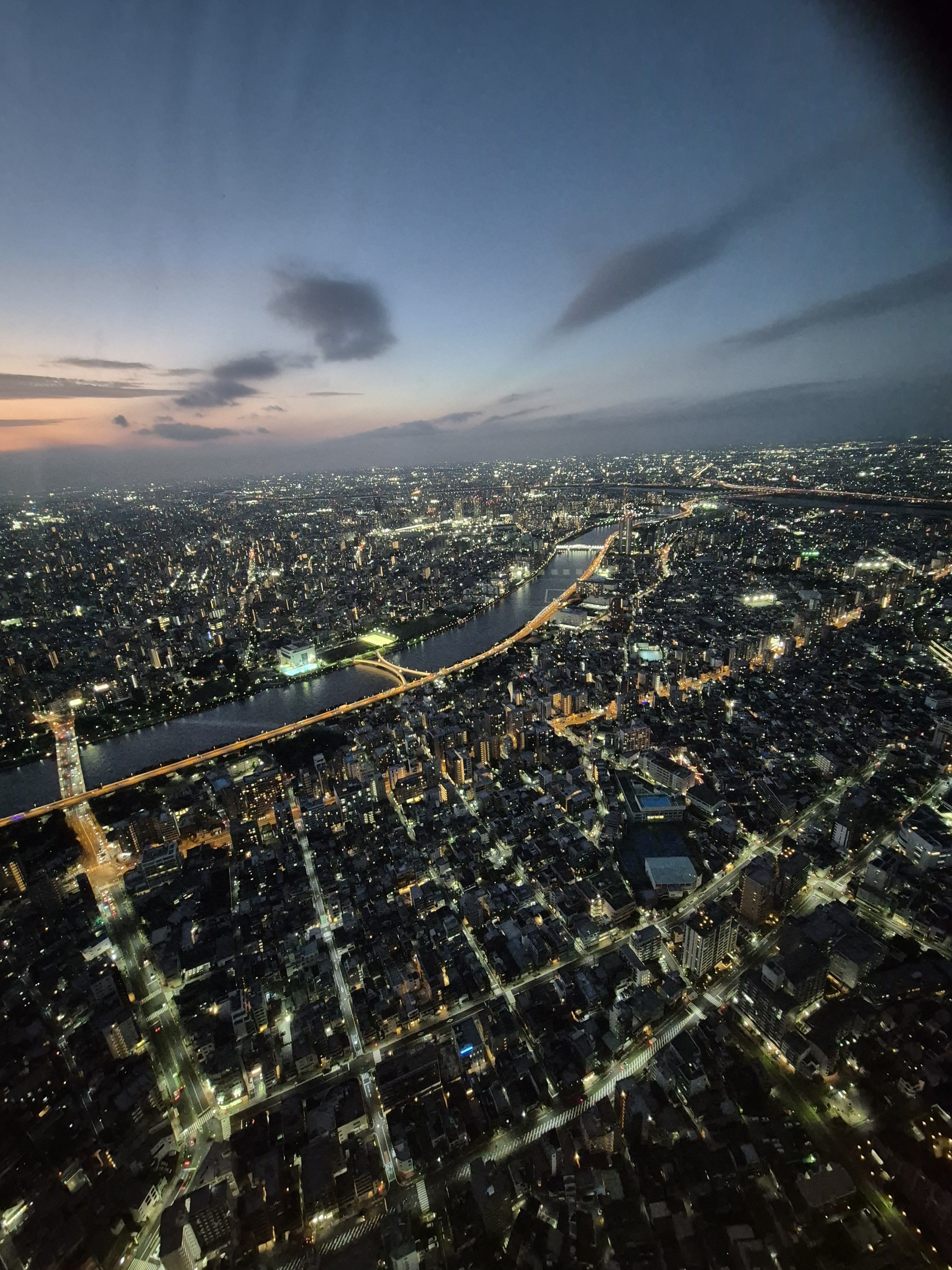 작성자 프로필 이미지