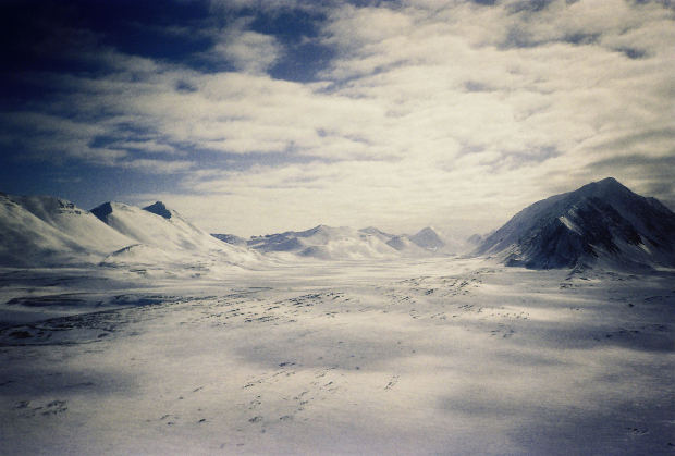 작성자 프로필 이미지