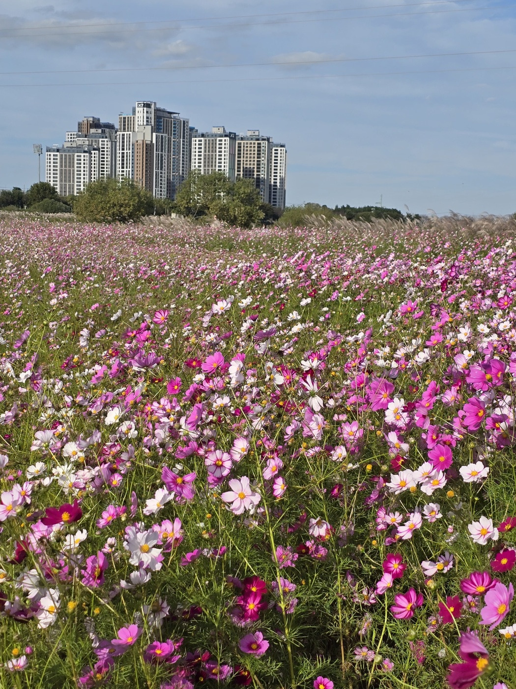 작성자 프로필 이미지