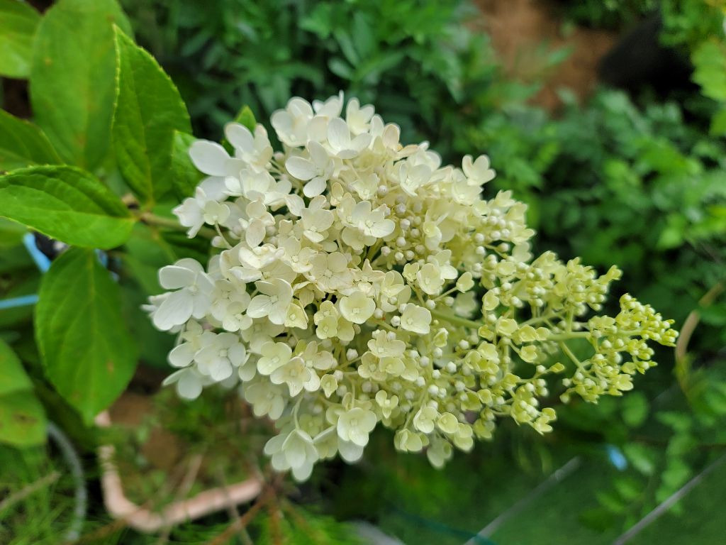 작성자 프로필 이미지