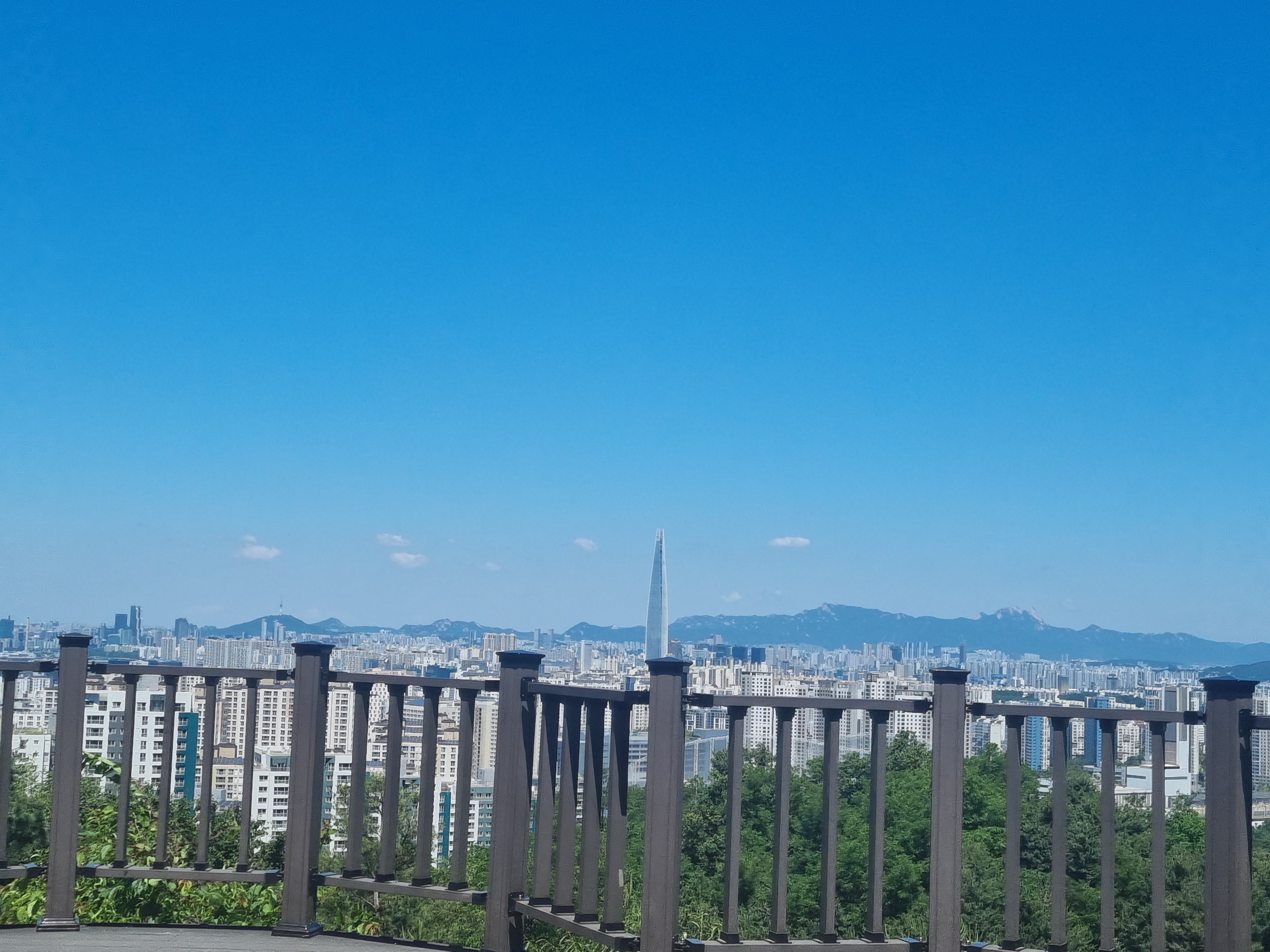 작성자 프로필 이미지