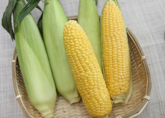 작성자 프로필 이미지