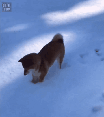 작성자 프로필 이미지