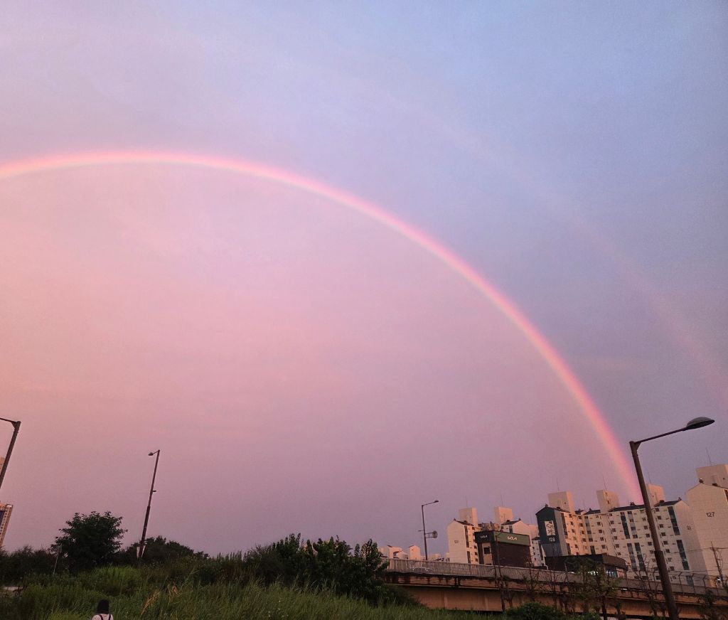 작성자 프로필 이미지