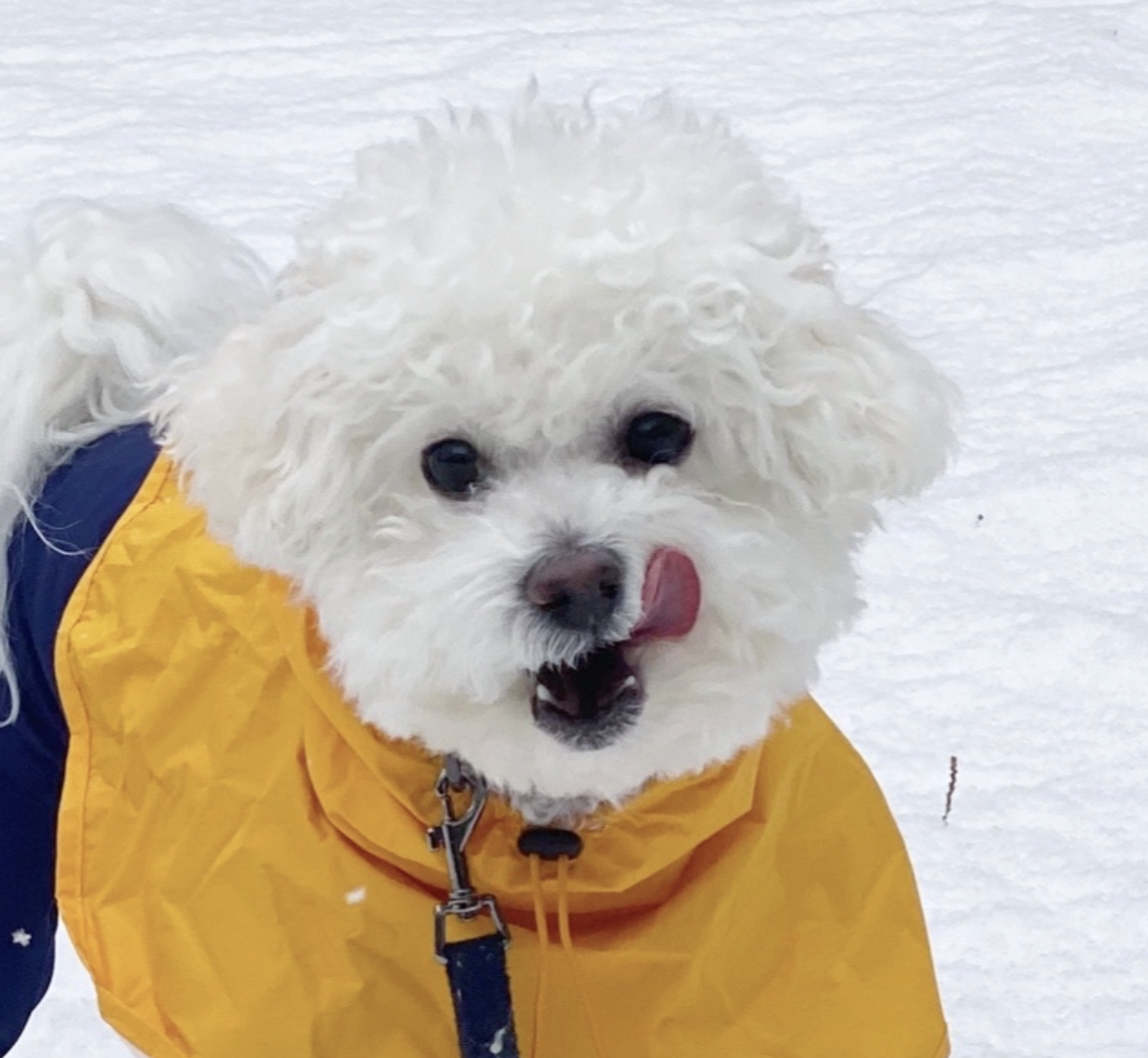 작성자 프로필 이미지