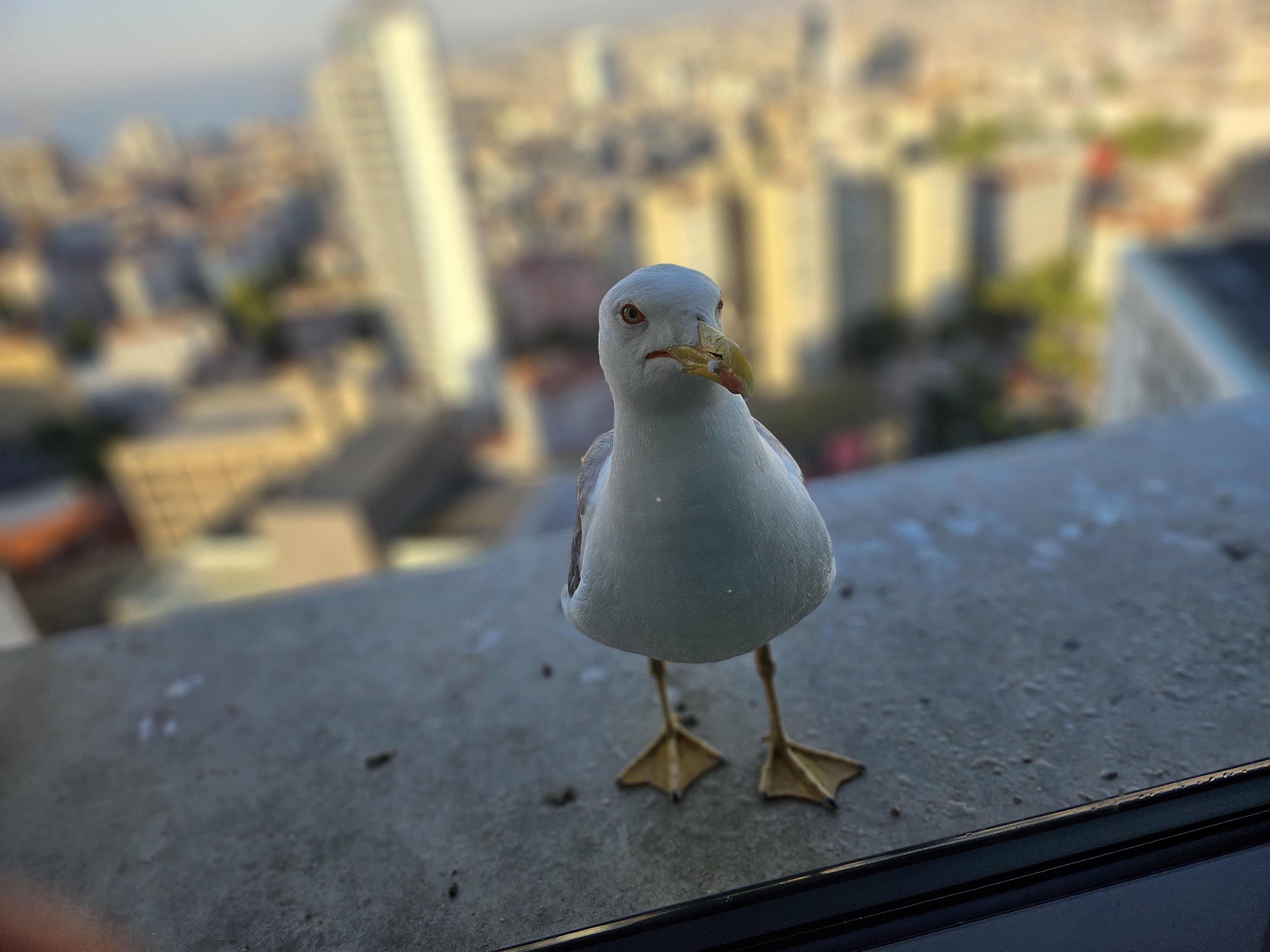 작성자 프로필 이미지