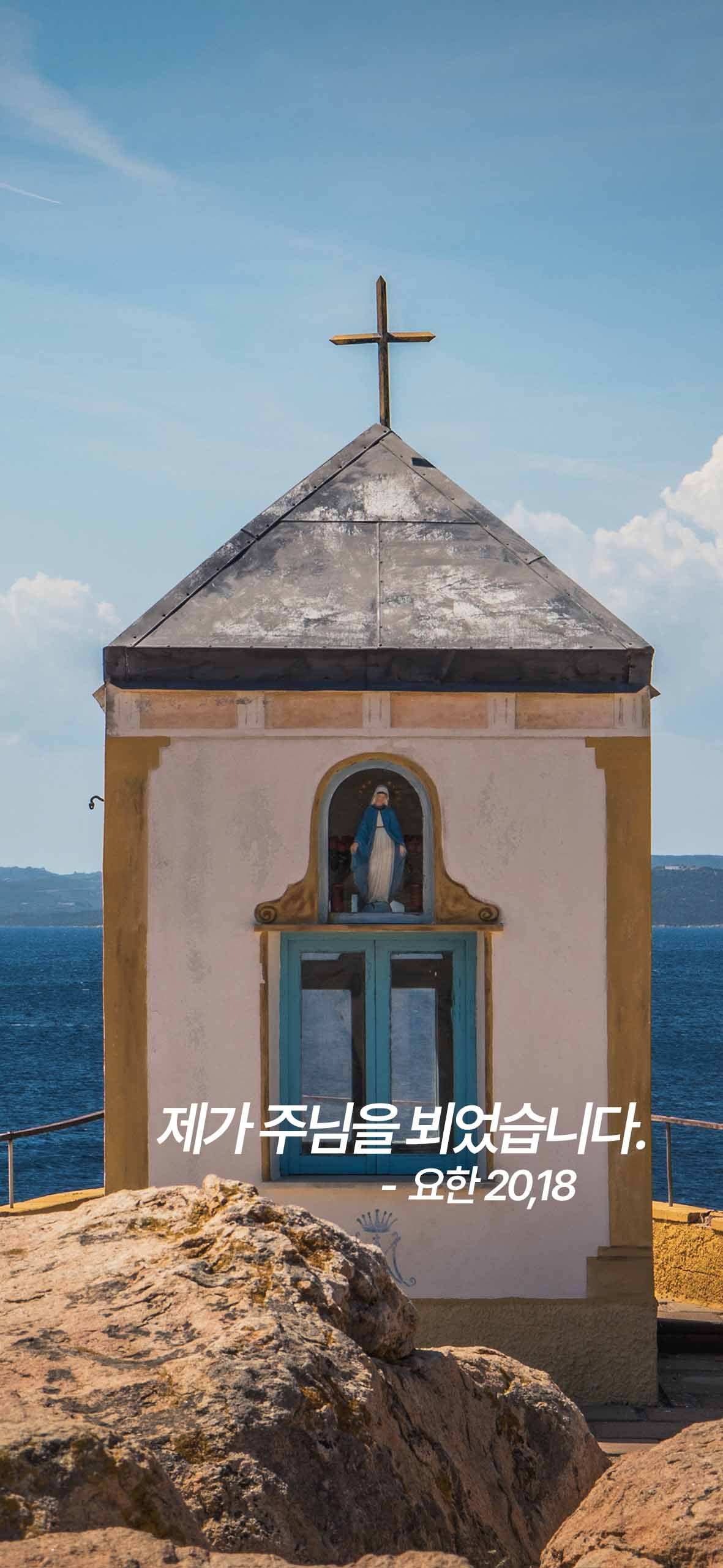 작성자 프로필 이미지