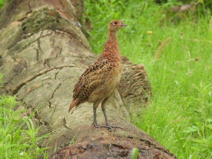 작성자 프로필 이미지