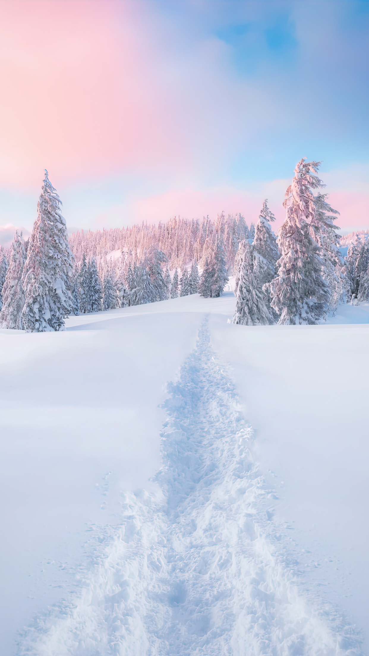 비밀이라구요 프로필 이미지