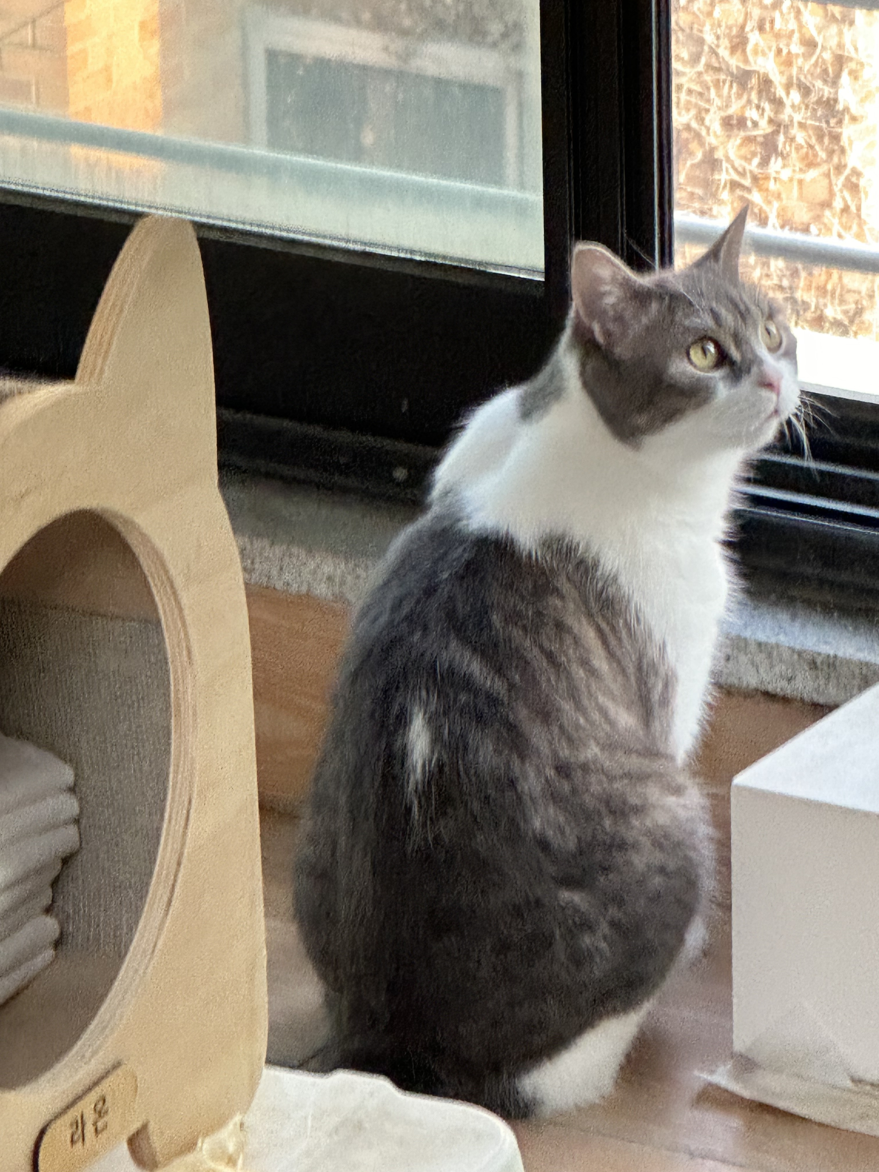 건방진천사 프로필 이미지