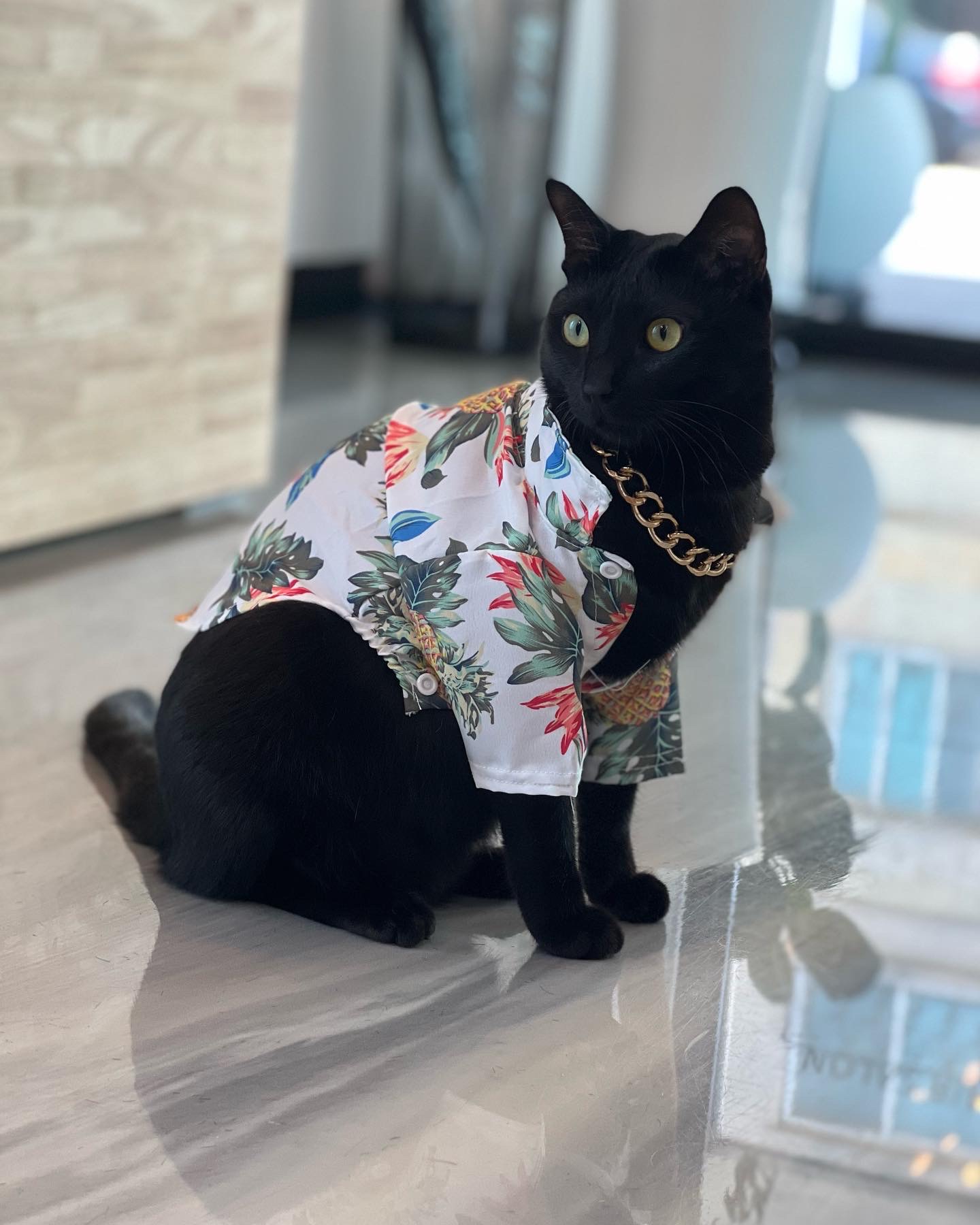 작성자 프로필 이미지