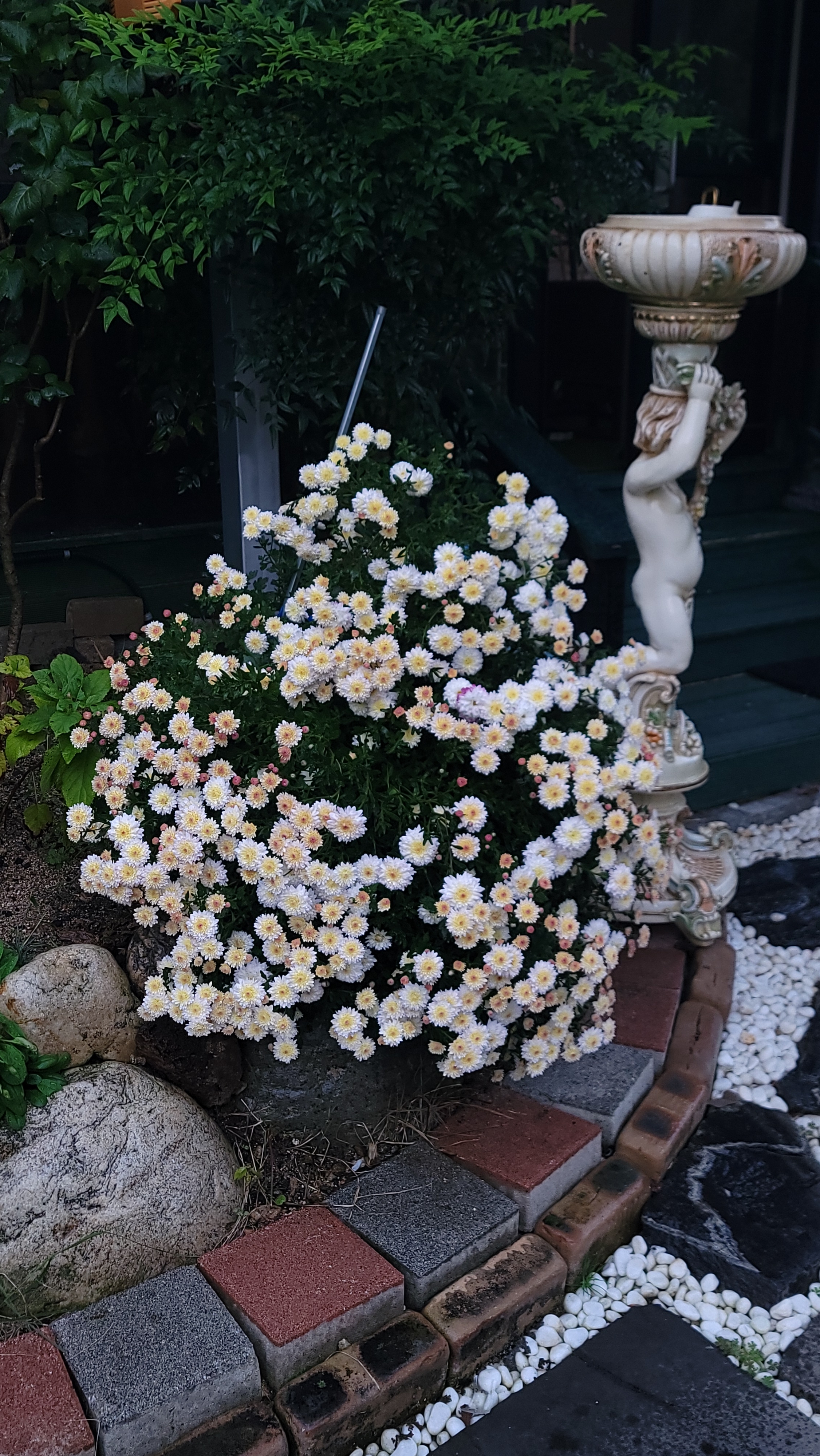 작성자 프로필 이미지