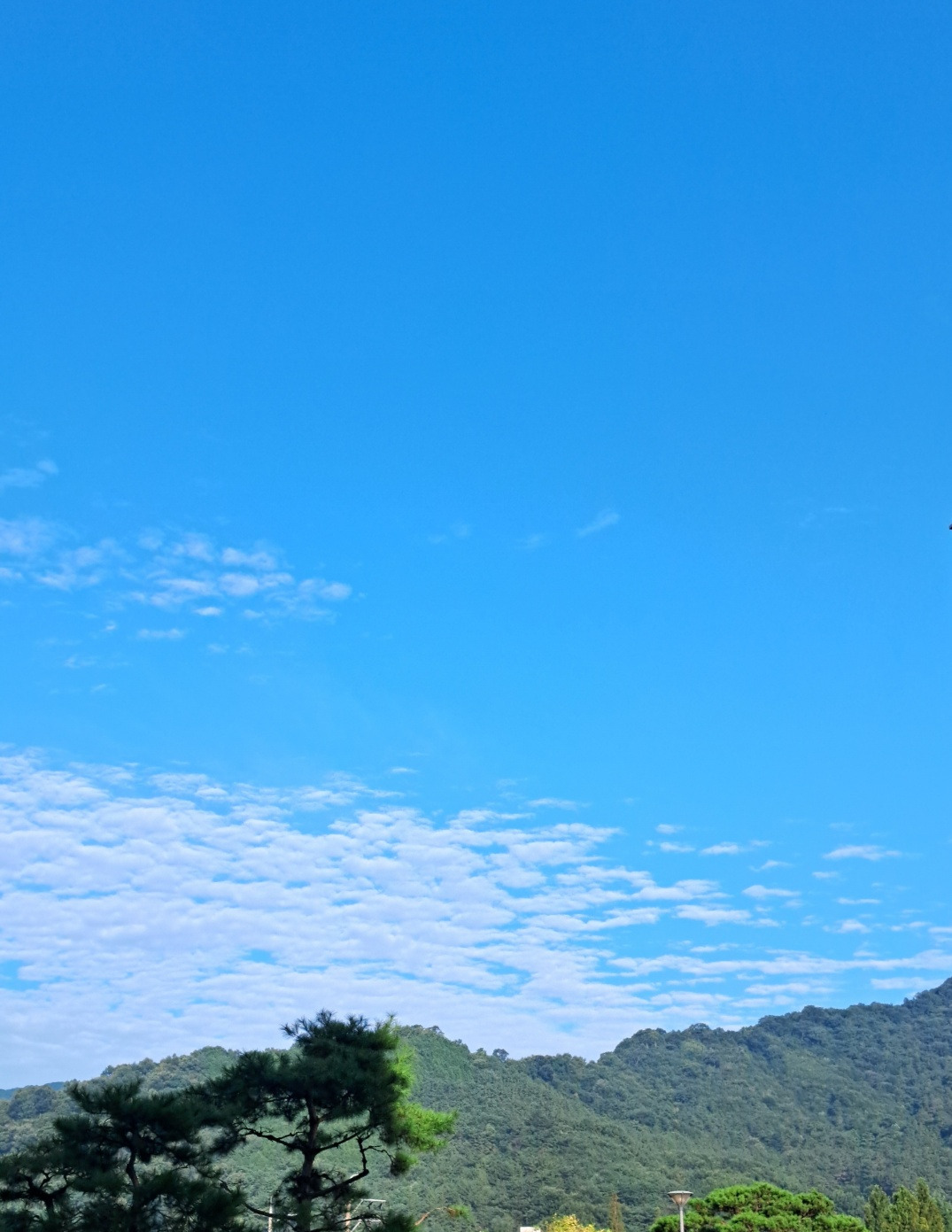 작성자 프로필 이미지