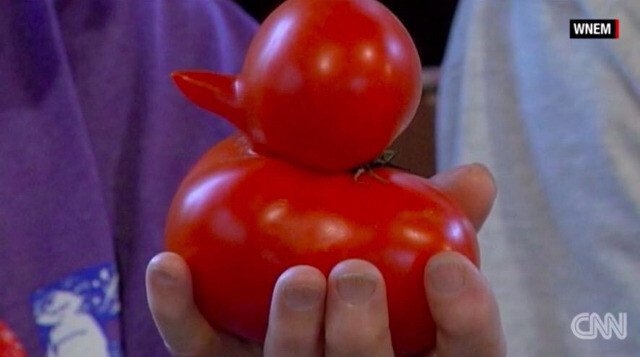 작성자 프로필 이미지