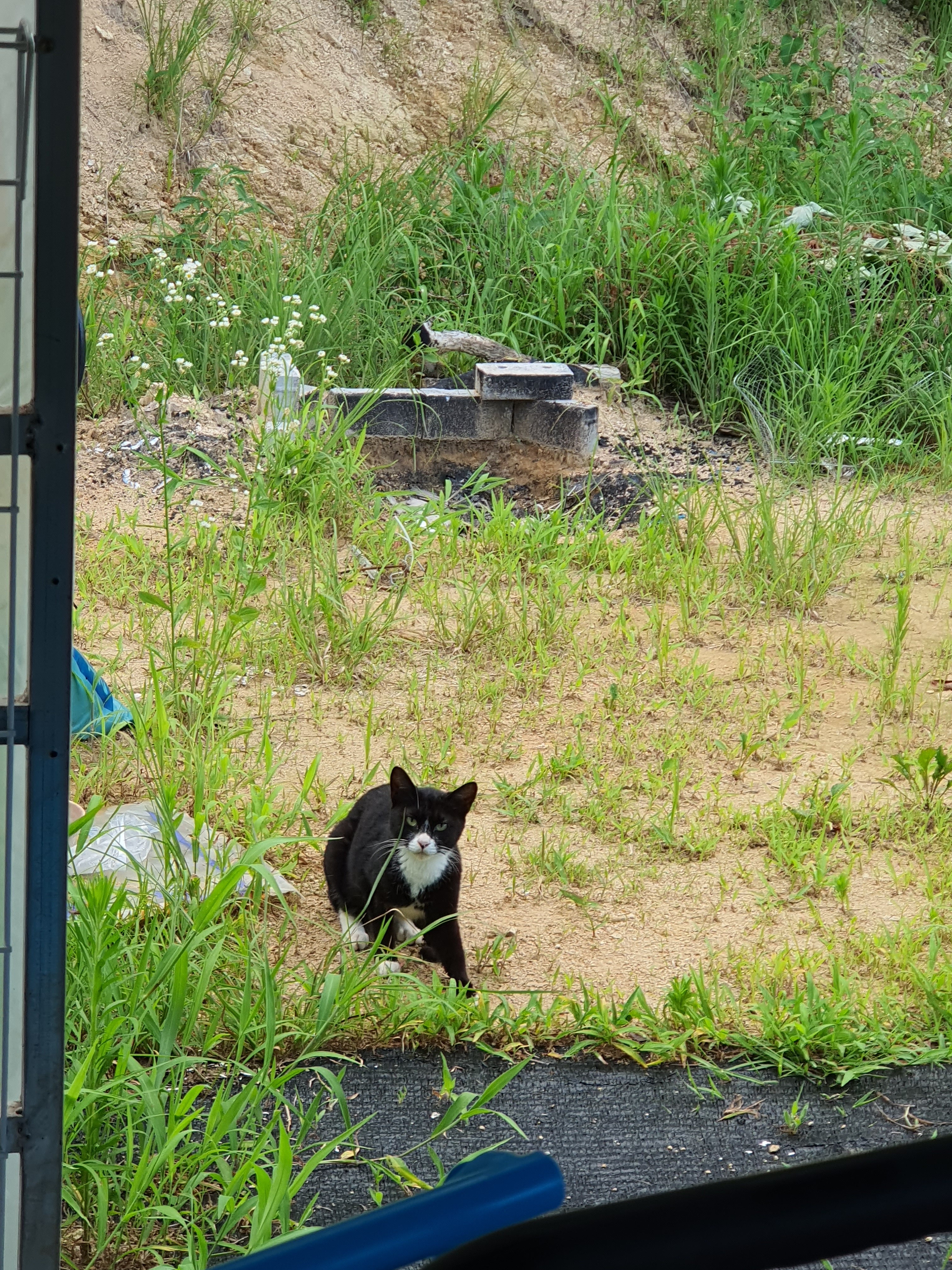 작성자 프로필 이미지