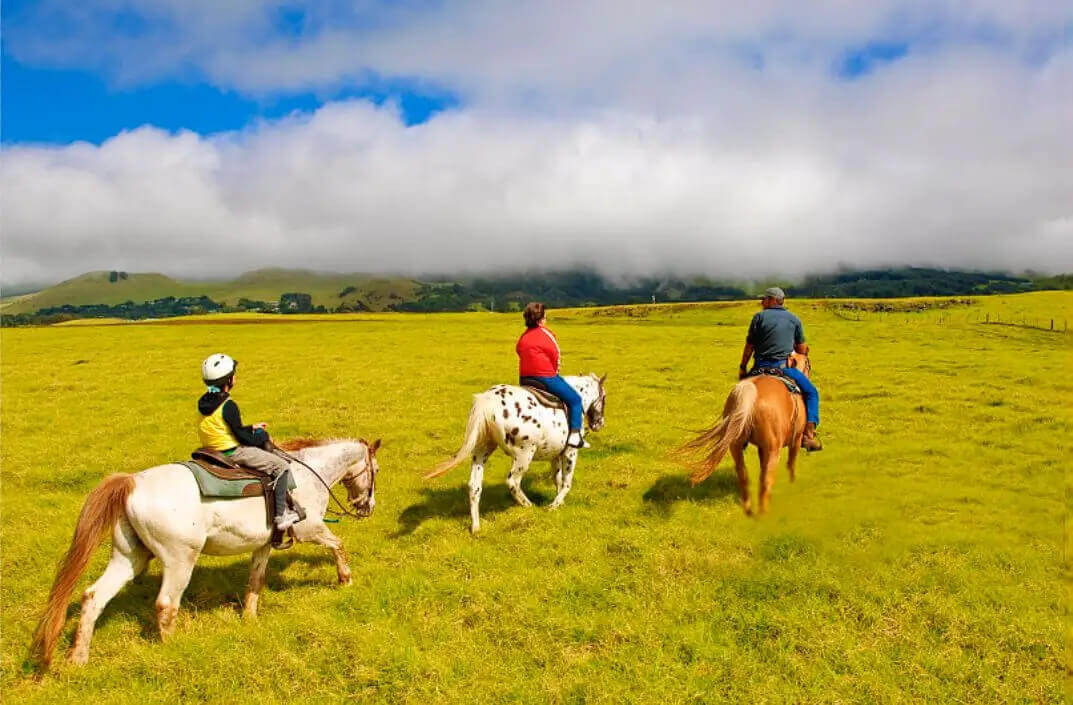 작성자 프로필 이미지